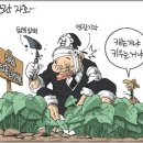 쓸자