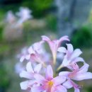 그린이용소 이미지