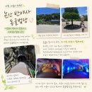 (주)부여건강랜드사업단 | 충남 아이와 갈만한 곳 신비로운 동굴법당 충남 논산 반야사 가족 나들이 리뷰