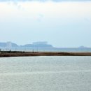 연어마을 이미지