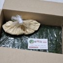 인천 전통시장 강화풍물시장 인천이음 장보기 간편해요