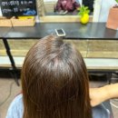 태후사랑헤어샵 - 제주시 | 태후사랑헤어샵