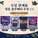주식회사 블루앤아이 | 수입 완제품 냉동 블루베리 추천 4종: 이츠웰·베리밸리·팜앤푸드·그린팜 칠레산 비교