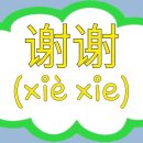 뚱뚱짬뽕