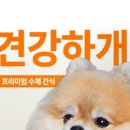 건강하개 수제간식 이미지