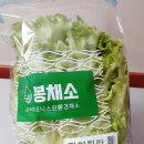 우소농장 이미지