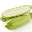 테르엔
