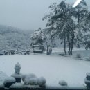 금수산펜션 이미지