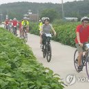 job아라 바리스타 이미지