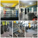 리얼복싱 이미지