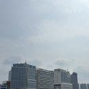 웨이브엠 호텔 웨스트 수영장 주차 내돈내산 후기