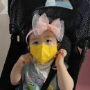 경희대 석사 비룡 태권도장 이미지