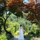 (주)라온투어 이미지
