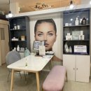 도담동도램마을상가앞BRT 이미지