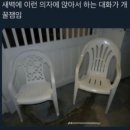 아로메리 | [3. 제주 메리 크리스마스] - 옥돔식당 칼국수 후기 및 귤귤스토어 제주 미피