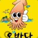 오징어짱이야