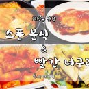 빨간너구리
