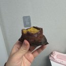 비전동 소로 3-34 | 2026년 2월 일상 | 맛집, 카페, 데이트 가득했던 일상 기록✨