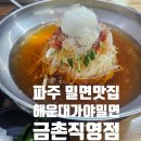 해운대가야밀면 금촌직영점 파주 밀면 맛집 (밀면 앓이)