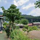 수륜면사무소 이미지