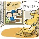 서당개 이미지