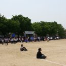 직산초등학교 이미지