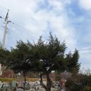 주택 앞 이미지