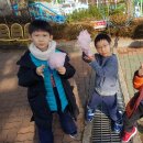 부경TIA태권도 이미지