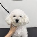 몽글몽글 네이버블로그