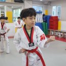 민락경기태권도장 이미지