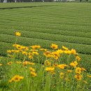 도순동-1 이미지