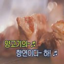 [스타맛세권 먹어보쇼] 양고기 양갈비 살치살 프렌치 랙 맛집 탐방!
