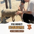 새마을로1R-21 | 아기랑 주말 나들이 추천 | 안성팜랜드 오후 방문 후기(21개월아기/내돈내산)