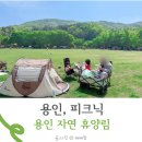 용인자연휴양림 당일치기 피크닉 아이랑 갈만한곳