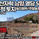금당부동산공인중개사사무소 이미지