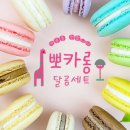 달곰마카롱 이미지