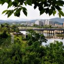 물흐르듯 이미지