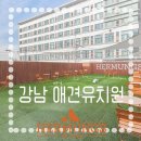 에르멍스 이미지