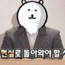 지성인