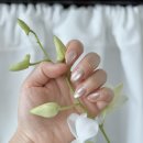 부산자석 | 부산 사하구네일 쉼뷰티 자석젤 후기