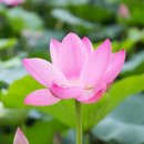 한자 전서체(篆書體) 이미지