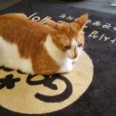 인사호스텔 이미지