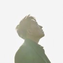 비가