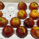 도도2농장 이미지