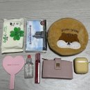 텔레포노 콜링백 브라운 색상 후기
