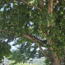 청림펜션 이미지