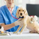 기은축산 이미지