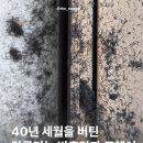 삼성아파트 | [대전 중구 삼성아파트] 미세촘촘망 교체 후기