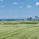 호미곶관광단지 이미지