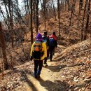 부락산 둘레길 이미지